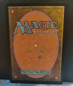 Elvish Archdruid - Commander Anthology - NM - Rare - MTG - Image 2