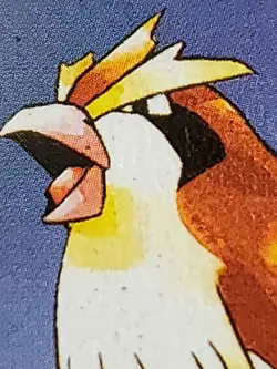 Pokemon Base Set Pidgey 57/102 - Common 1st Edition Shadowless PL - Image 4