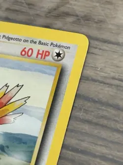 Pokemon TCG Pidgeotto – Jungle Set Unlimited 28/130 – WOTC 1999 – Vintage - Image 5