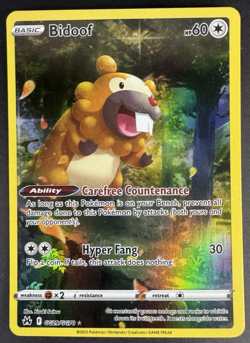 Bidoof GG29/GG70 Holo Rare - Crown Zenith: Galarian Gallery - Pokemon TCG - NM - Image 1