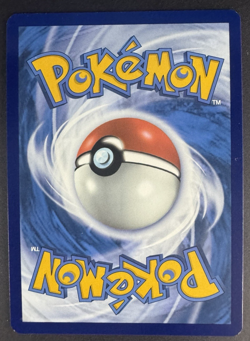 Bidoof GG29/GG70 Holo Rare - Crown Zenith: Galarian Gallery - Pokemon TCG - NM - Image 2