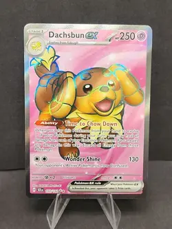 Dachsbun EX 160/142 Holo Ultra Rare S&V Stellar Crown Pokemon Card - Image 1