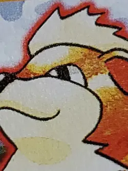 GROWLITHE Pokemon Card - WOTC - 1st Edition - Base Set - Shadowless - 28/102 NM - Image 4