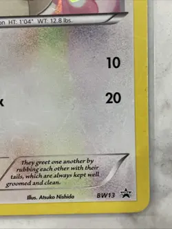 Pokemon TCG Minccino Black Star Promos Holo Card BW13 - Image 5