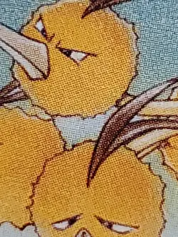Pokemon TCG Dodrio Jungle 1st Edition Uncommon Card 34/64 NM - Image 4