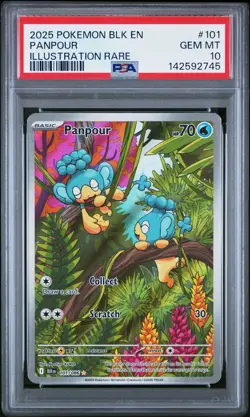 2025 POKEMON BLK EN-BLACK BOLT ILLUSTRATION RARE #101 PANPOUR PSA 10 - Image 1