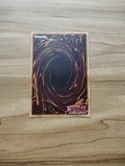Yu-Gi-Oh! - Toon Dark Magician Girl - Ultra Rare / Holo - DUPO-EN041 - Image 2
