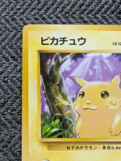 Pikachu Japanese Base Pokemon card old back US seller NM - Image 2