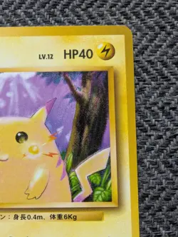 Pikachu Japanese Base Pokemon card old back US seller NM - Image 5