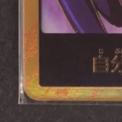 2025 ONE PIECE PRB01 JAPANESE DON!! CARD #NNO KING GOLD FRAME FOIL - Image 4