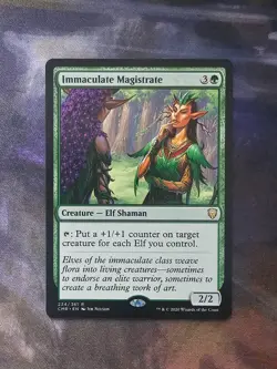 Immaculate Magistrate - Image 1