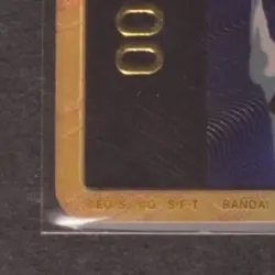 2024 ONE PIECE PRB-01 RORONOA ZORO DON!! CARD SUPER PARALLEL GOLD FRAME - Image 4