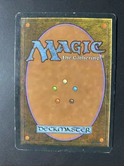 MTG Magic The Gathering - Adarkar Wastes - Ice Age - MP - Image 2