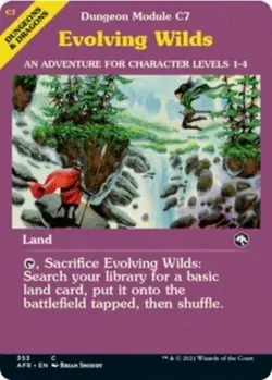1 x Evolving Wilds - Showcase - D&D - AFR - LP - Magic The Gathering - MTG - Image 1