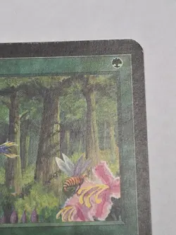 Wild Growth Alpha MTG Magic MP - Image 4