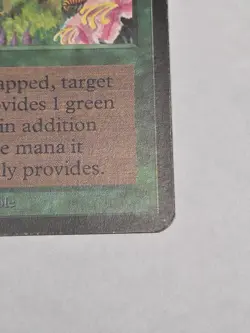 Wild Growth Alpha MTG Magic MP - Image 5