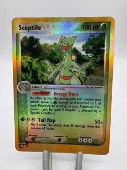 Ruby & Sapphire Holo and reverse holo pokemon cards- Swampert, Grovyle, Sceptile - Image 5