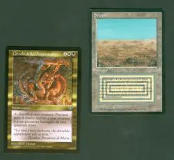 FBB SCRUBLAND (Revised) + Circle of Despair(Mirage) Foreign Black Border MTG - Image 1