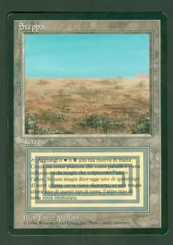 FBB SCRUBLAND (Revised) + Circle of Despair(Mirage) Foreign Black Border MTG - Image 4