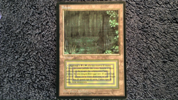 BAYOU (Revised) 2 (Alliances) Mishr a's Factory (Antiquities) FBB ITALIAN MTG - Image 2