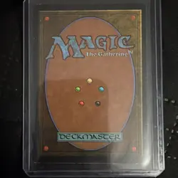 MTG Tundra Revised Edition - Great Condition - Image 2