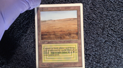 SAVANNAH rare UNLIMITED Magic the Gathering MP - Image 2