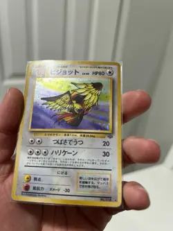 Pidgeot Pokemon Jungle Holo (Japanese) - Image 4