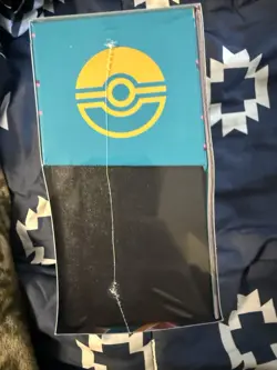 Pokemon TCG - Ascended Heroes ETB Elite Trainer Box — NEW & SEALED **IN HAND** - Image 4
