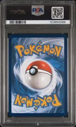 PSA 10 Marnie's Morpeko SVP 206 Illustration Battle Deck Promo Pokemon Card TCG - Image 4