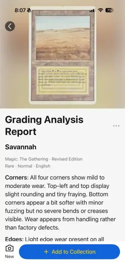 MTG Savanah Revised Edition - Great Condition - Image 3