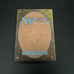 Seedtime Judgment Regular - Image 2