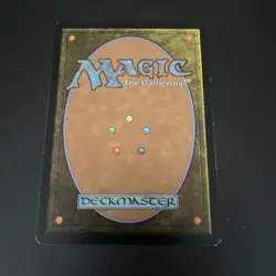 Seedtime Judgment Regular - Image 4