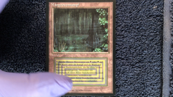 BAYOU rare German Foreign Black Border (FBB) Magic the Gathering Unplayed NM - Image 2