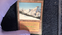 TAIGA rare German Foreign Black Border (FBB) Magic the Gathering Unplayed NM - Image 2