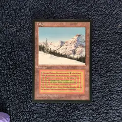 TAIGA rare German Foreign Black Border (FBB) Magic the Gathering Unplayed NM - Image 4