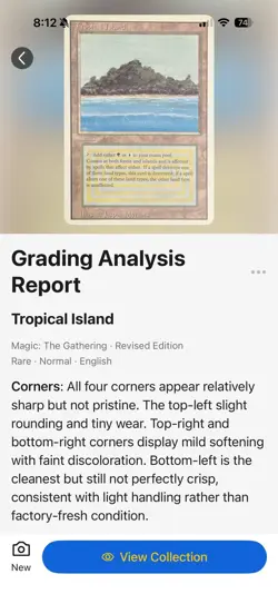 MTG Tropical Island Revised Edition - Great Condition - Image 3