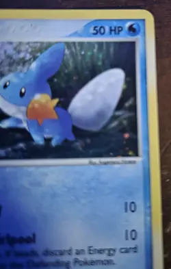 Pokemon TCG Mudkip 018 Nintendo Promo Holo 50 HP - Image 3
