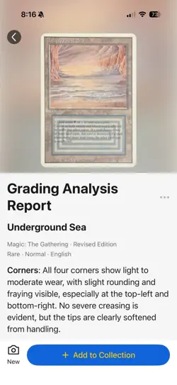 Mtg Underground Sea Revised Edition - Great Condition - Image 3
