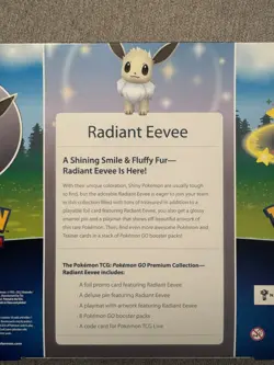 Pokemon TCG (Pokemon Go) Radiant Eevee Premium Collection Box (1 New Sealed) - Image 3
