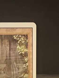 Mtg 🔥🔥 Bayou 🔥🔥Revised NM/LP 🌟RARE🌟 Magic The Gathering - Image 2