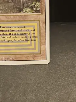 Mtg 🔥🔥 Bayou 🔥🔥Revised NM/LP 🌟RARE🌟 Magic The Gathering - Image 3