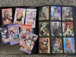 Goddess Story Little Frog Collection Card Lot Binder 300+ Waifu Holo Anime +pack - Image 1