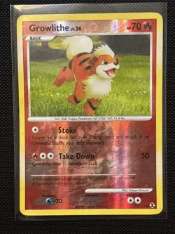 Pokemon Growlithe Reverse Holo Card 63/111 Rising Rivals Series - Image 1