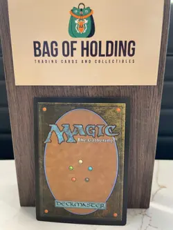 Soul Warden - 024/249 - Modern Masters 2017 - Magic - MTG - NM - Image 2