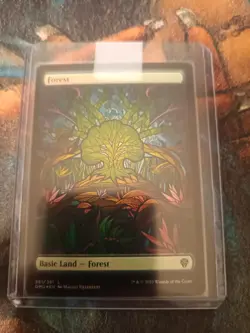 Forest (Showcase) Dominaria United Foil, NM, MTG, FREE NEXT DAY SHIPPING! - Image 1