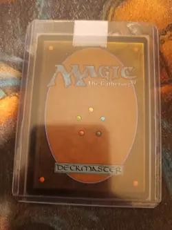 Forest (Showcase) Dominaria United Foil, NM, MTG, FREE NEXT DAY SHIPPING! - Image 2