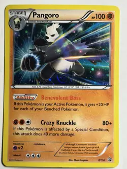 Pangoro - Holo XY Promos XY50 MP-LP Pokemon Card - Image 1