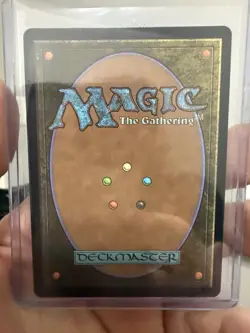 MTG English Spectacular Spider-Man (0239) (Borderless) (Textured Foil) NM Foil - Image 2