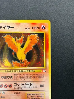 [NM] Moltres Pokemon Card Japanese No.146 Holo Fossil Set 1996 Vintage 14F13 - Image 5