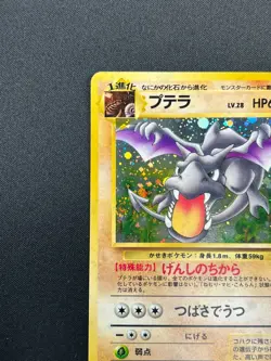 [NM] Aerodactyl Pokemon Card Japanese No.142 Fossil Set Vintage Holo 14F6 - Image 4